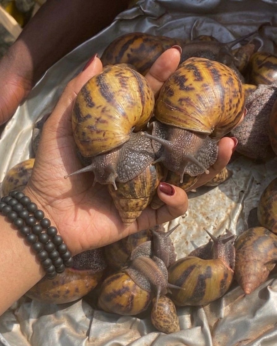 𝕯𝖎𝖛𝖎𝖓𝖊 𓆩♡𓆪 tweet media