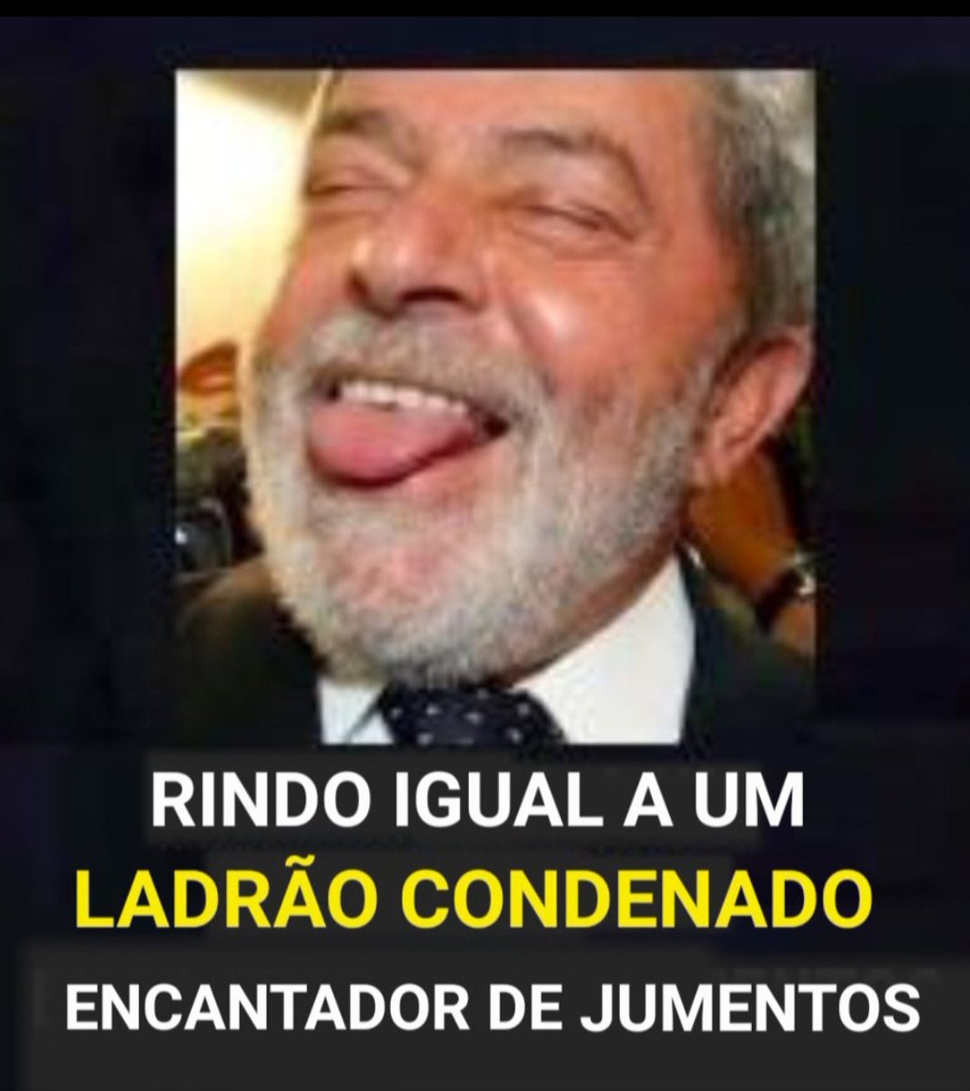 zévoltando tweet media