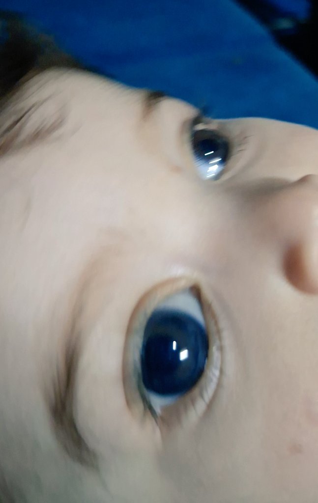 Malak Shabet tweet media