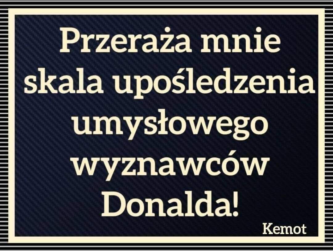 Andrzej tweet media