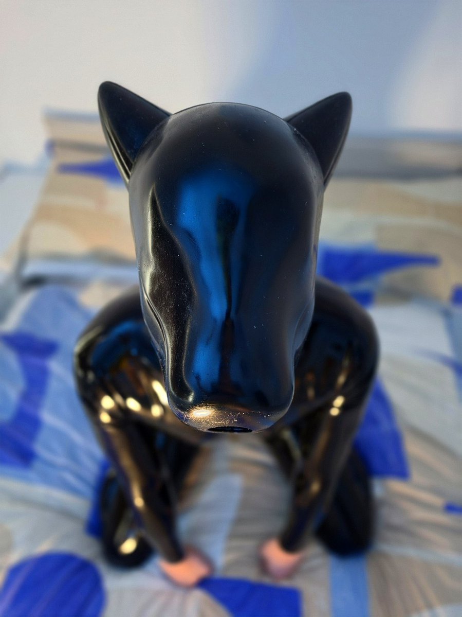 Pup Newt tweet media