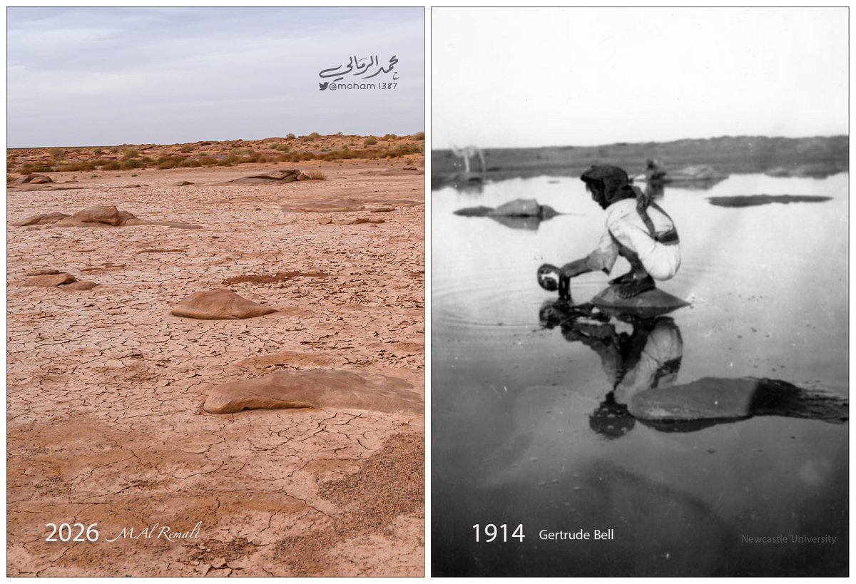 محمد عتيق الرمالي tweet media