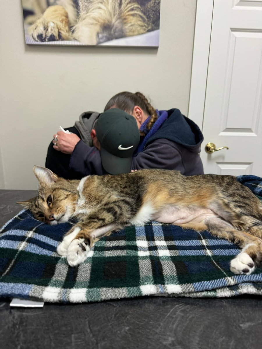 Mary 🕊️ tweet media