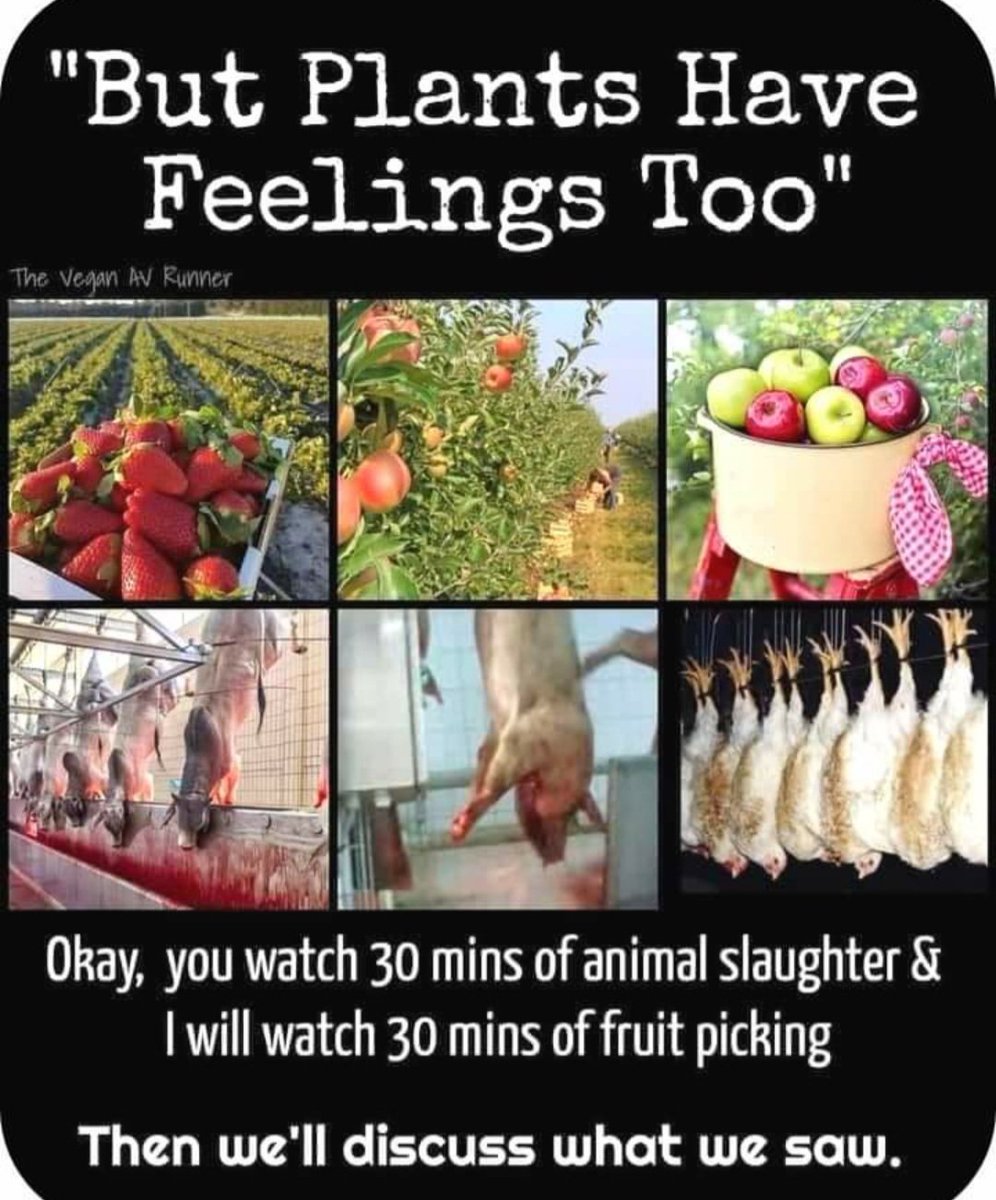 Lorraine Foley tweet media