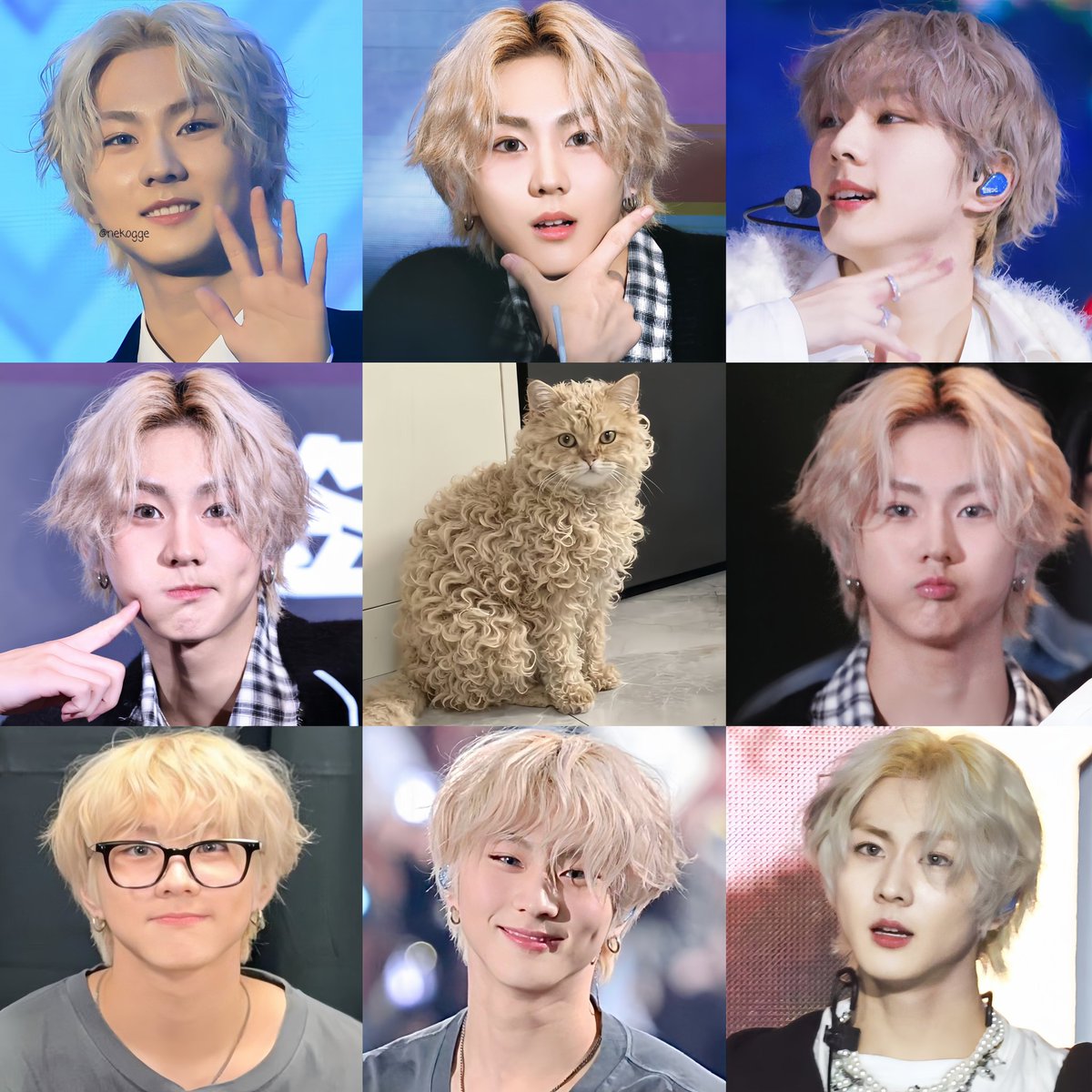 nif 𝜗᭪ tweet media