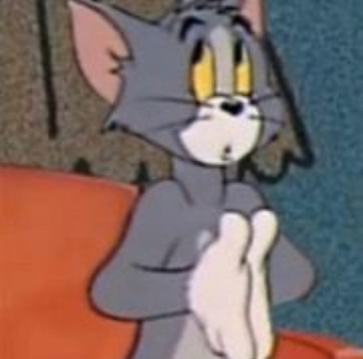 تطبيق نينجا🥷🏻 tweet media
