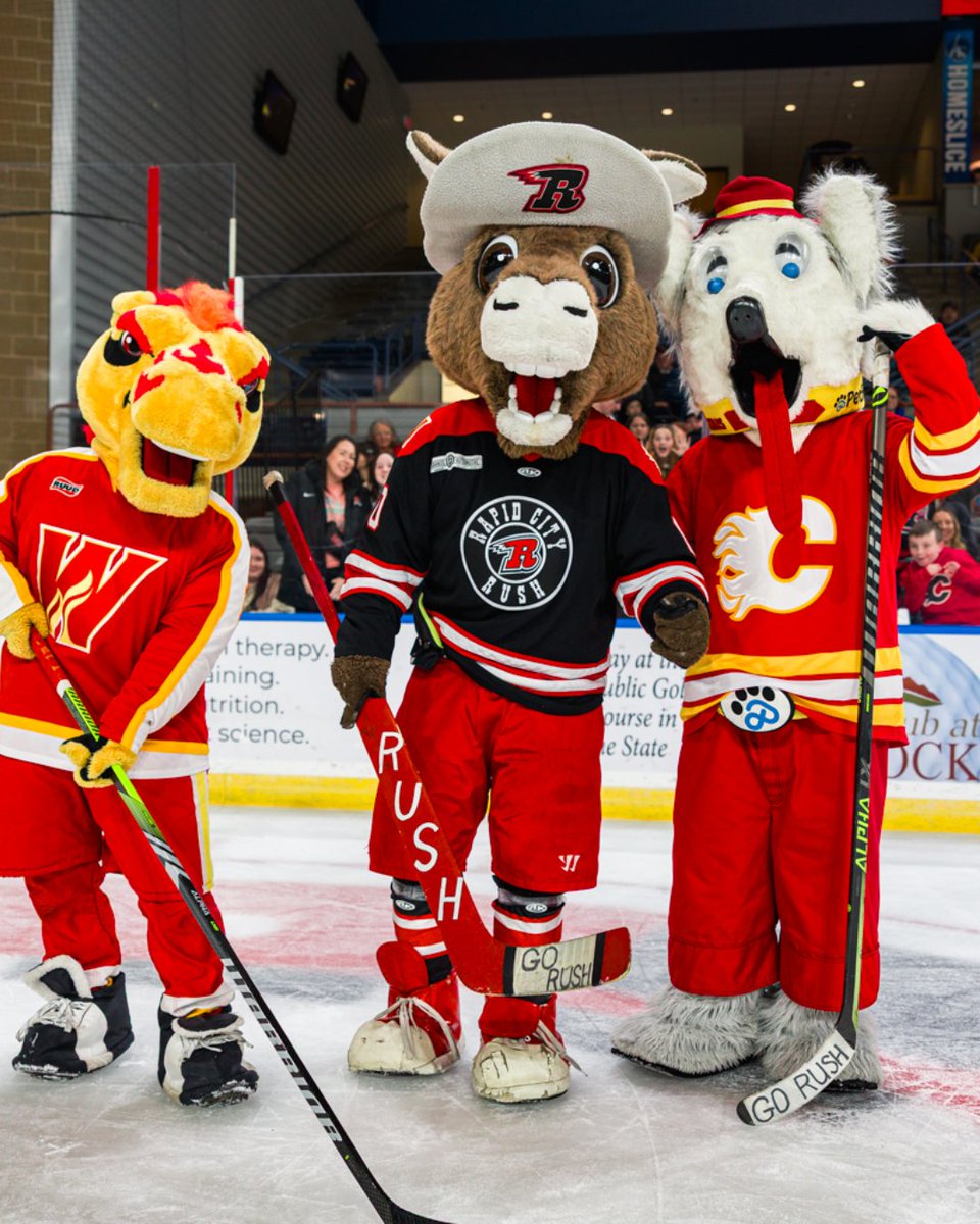 RapidCityRush's tweet image. Thanks for stopping by on Saturday, Harvey and Blasty!

#RedAlert | @NHLFlames | @AHLWranglers | @NuggetTheMascot