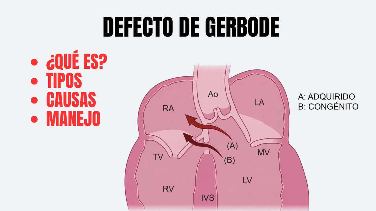CardioNotion tweet media