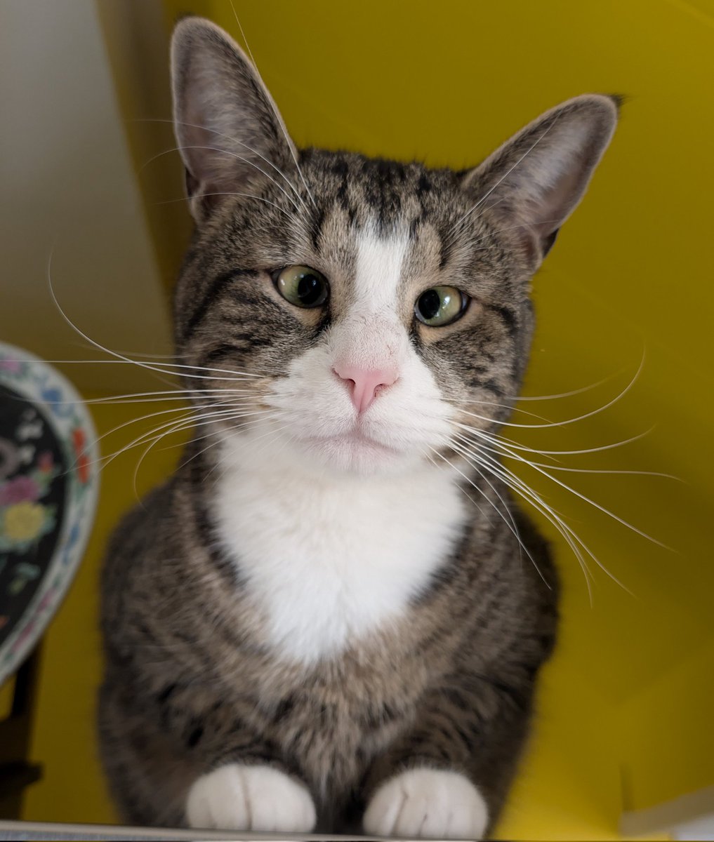 Littlenutsac 🤡 tweet media