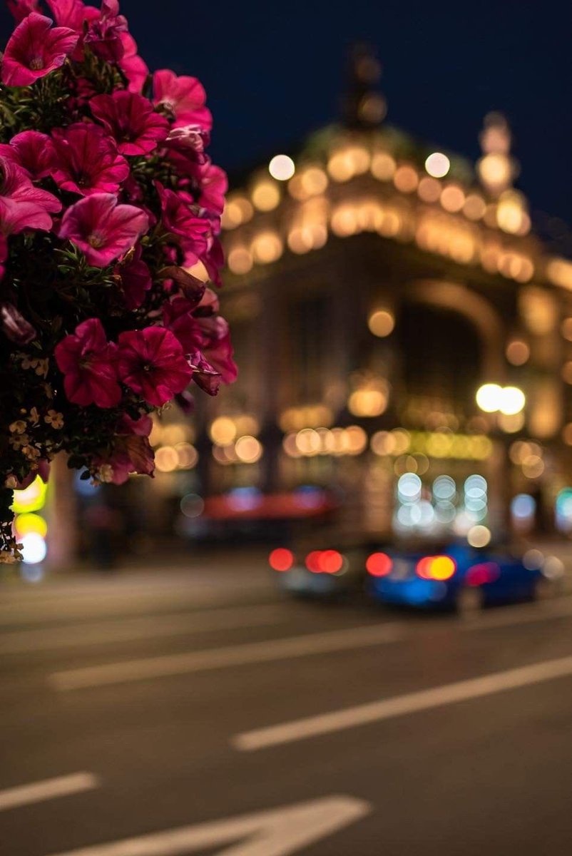 ‏ᵃᵇᵈᵘˡˡᵃʰ tweet media