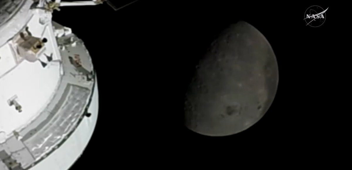 Eli Vieira tweet media