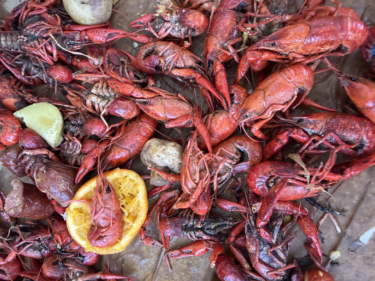 BarryWaldo's tweet image. Spring has sprung. #HappyEaster to our favorite Peeps 😉🫶🐰
#Ojai and #LosAngeles are in full bloom!