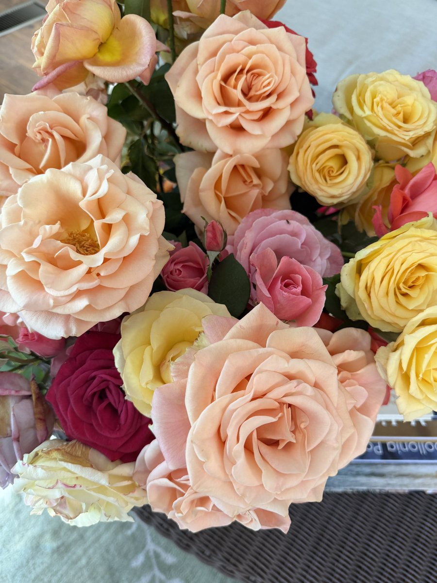 BarryWaldo's tweet image. Spring has sprung. #HappyEaster to our favorite Peeps 😉🫶🐰
#Ojai and #LosAngeles are in full bloom!