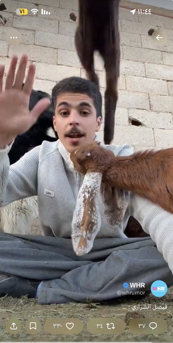 طـلالـي الـهـوىٰ tweet media