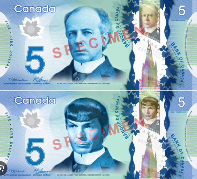 Chuck ʎǝʞuoɯ tweet media