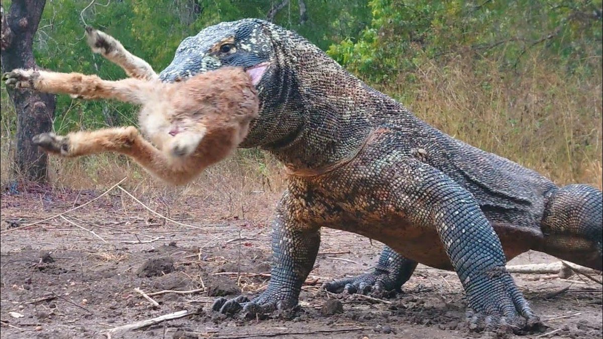 John Shprite tweet media