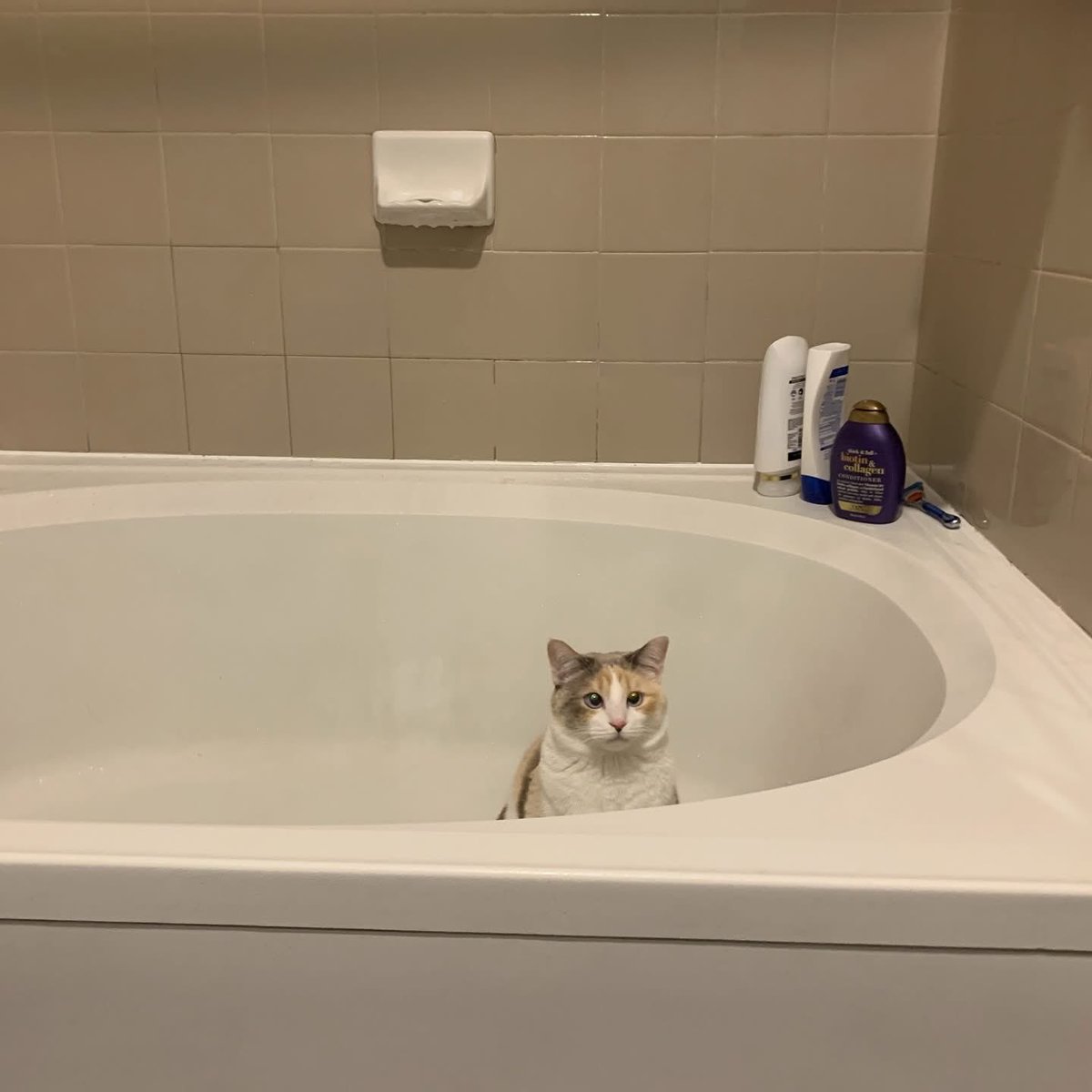 mani_wer 🇦🇹 tweet media