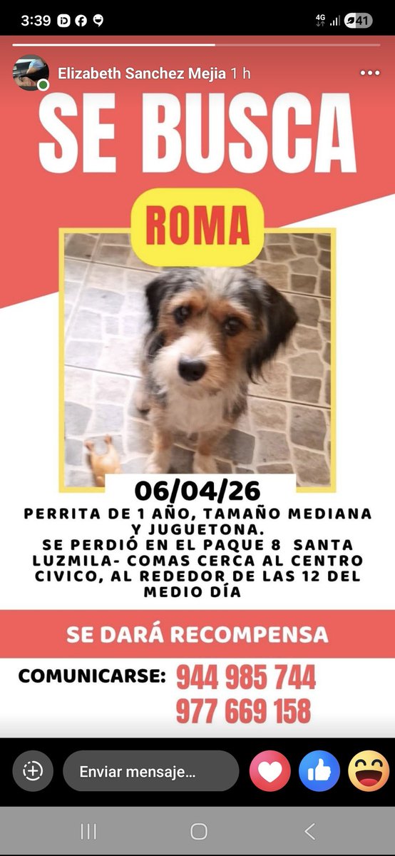 María del Carmen Alfaro Villalobos tweet media