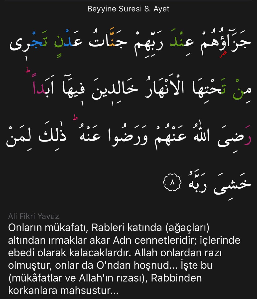 hatice kübra tweet media