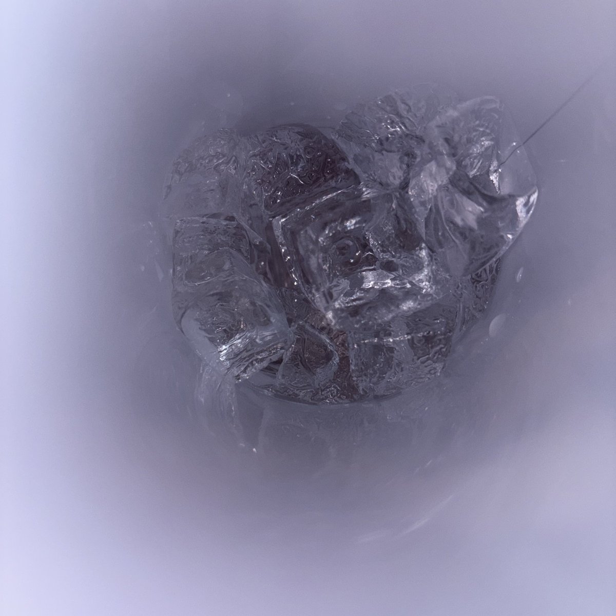 🐾🌧️ tweet media