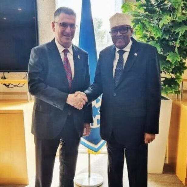 Todd Schoenberg tweet media