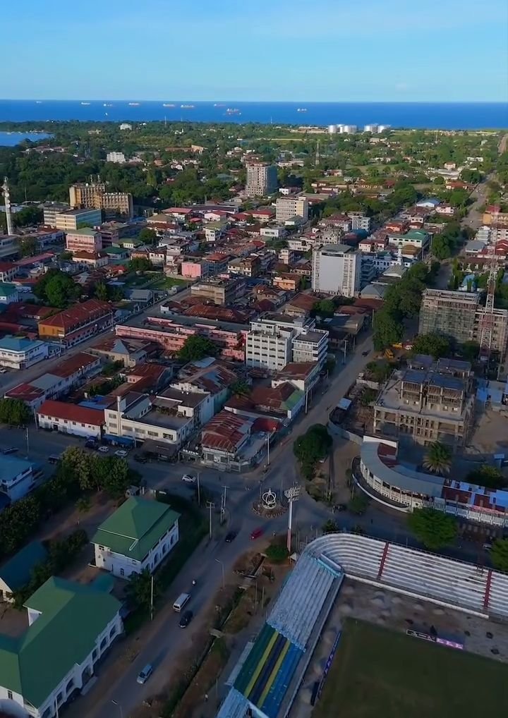 TheProtégéTZ tweet media