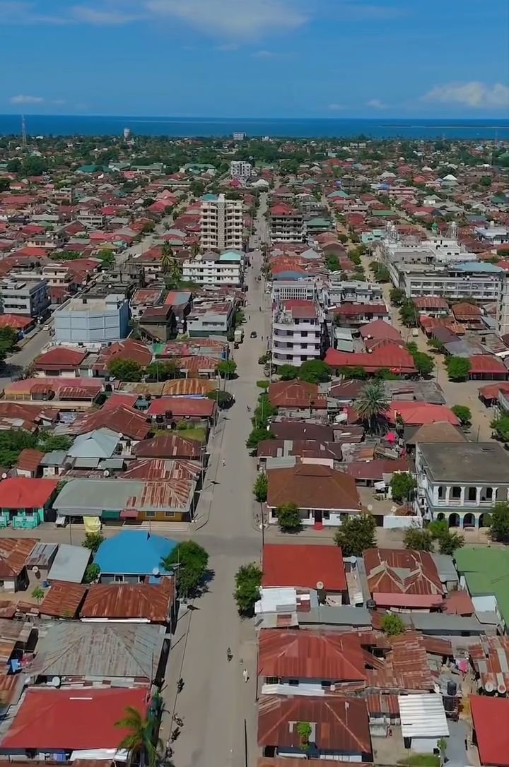 TheProtégéTZ tweet media