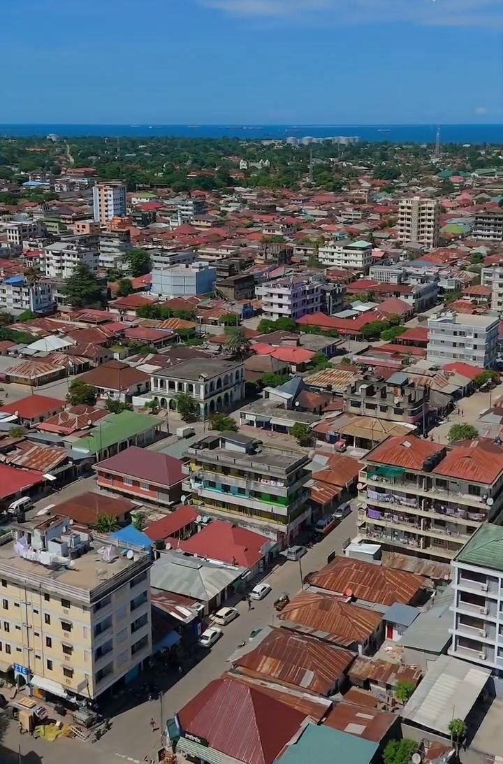 TheProtégéTZ tweet media