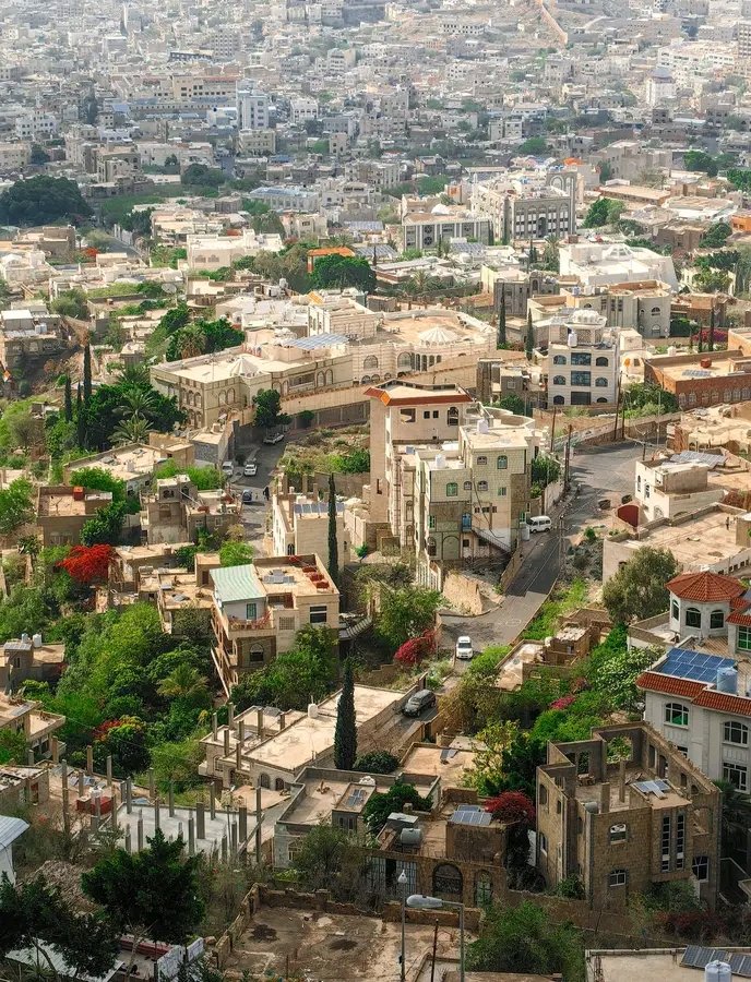 Naji Saeed tweet media