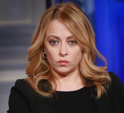 Wolf 🐺 tweet media