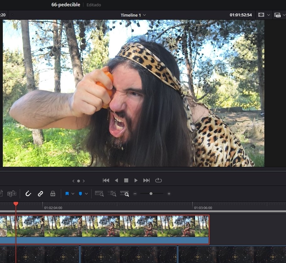 El Palaneo 🌱 ~ 📚Hábito y Mortaja📚 tweet media