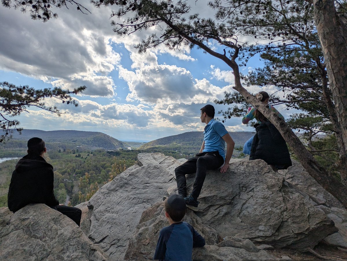 Zachary Mannes tweet media