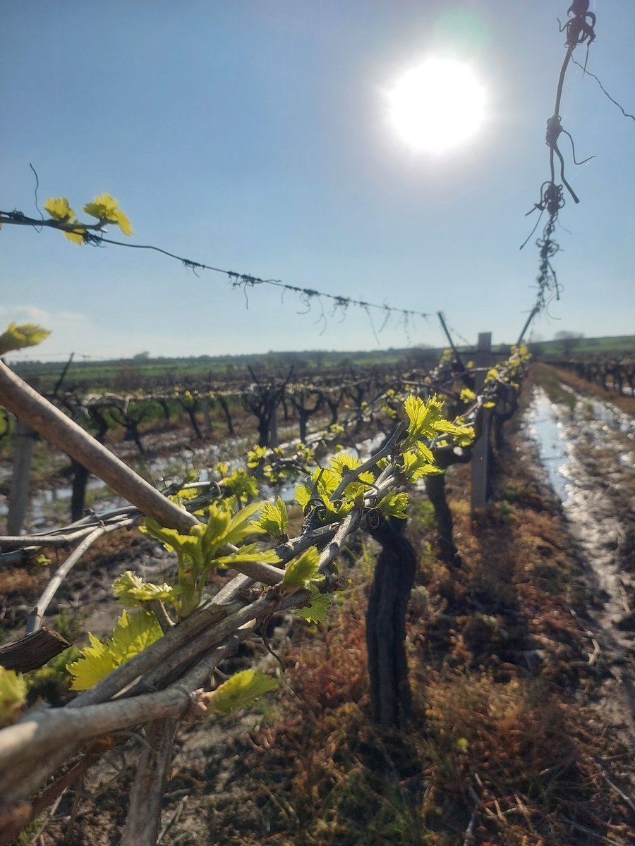 KÜÇÜK tweet media