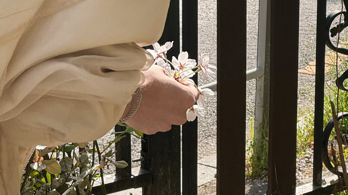 ★, 𝗄𝖺𝗇𝖾𝗌 tweet media