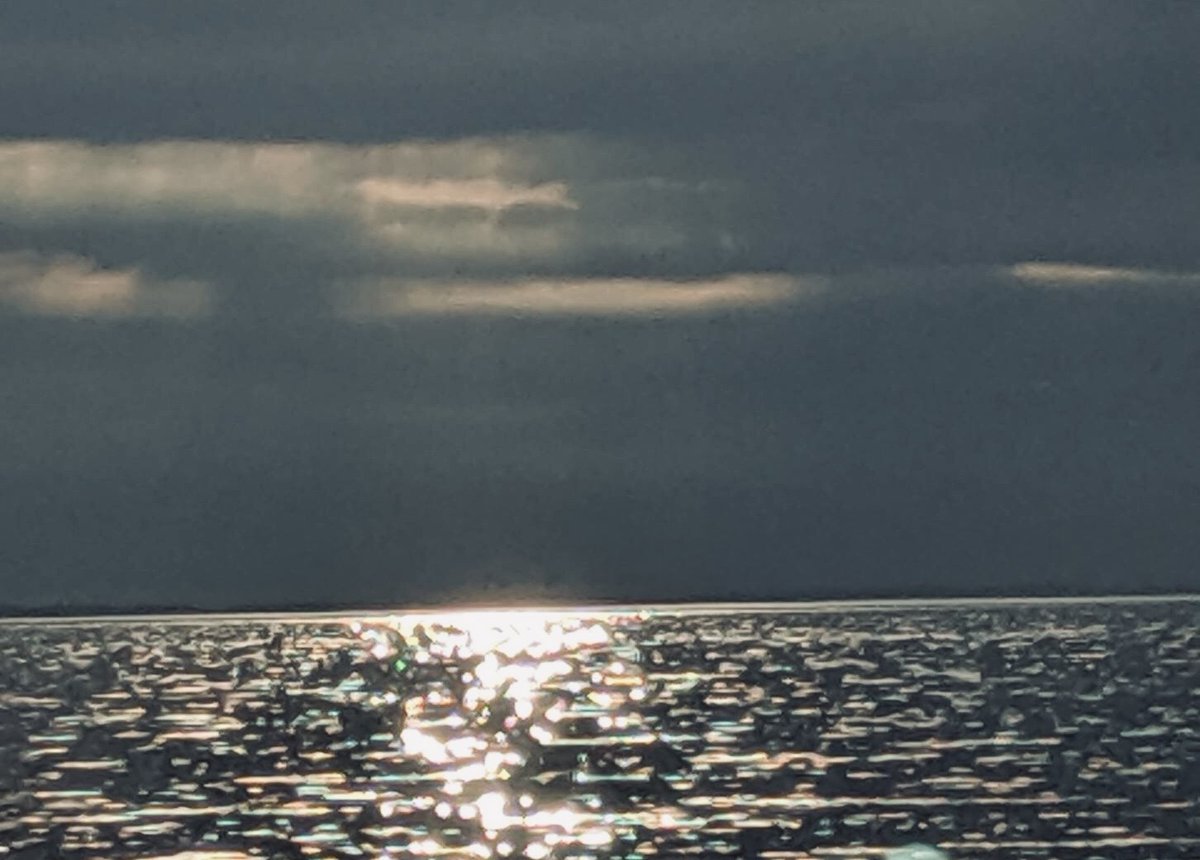 Micheal Sullivan tweet media