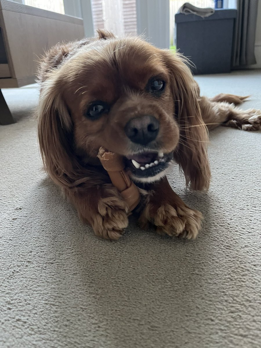 rob sellers🇾🇪 tweet media