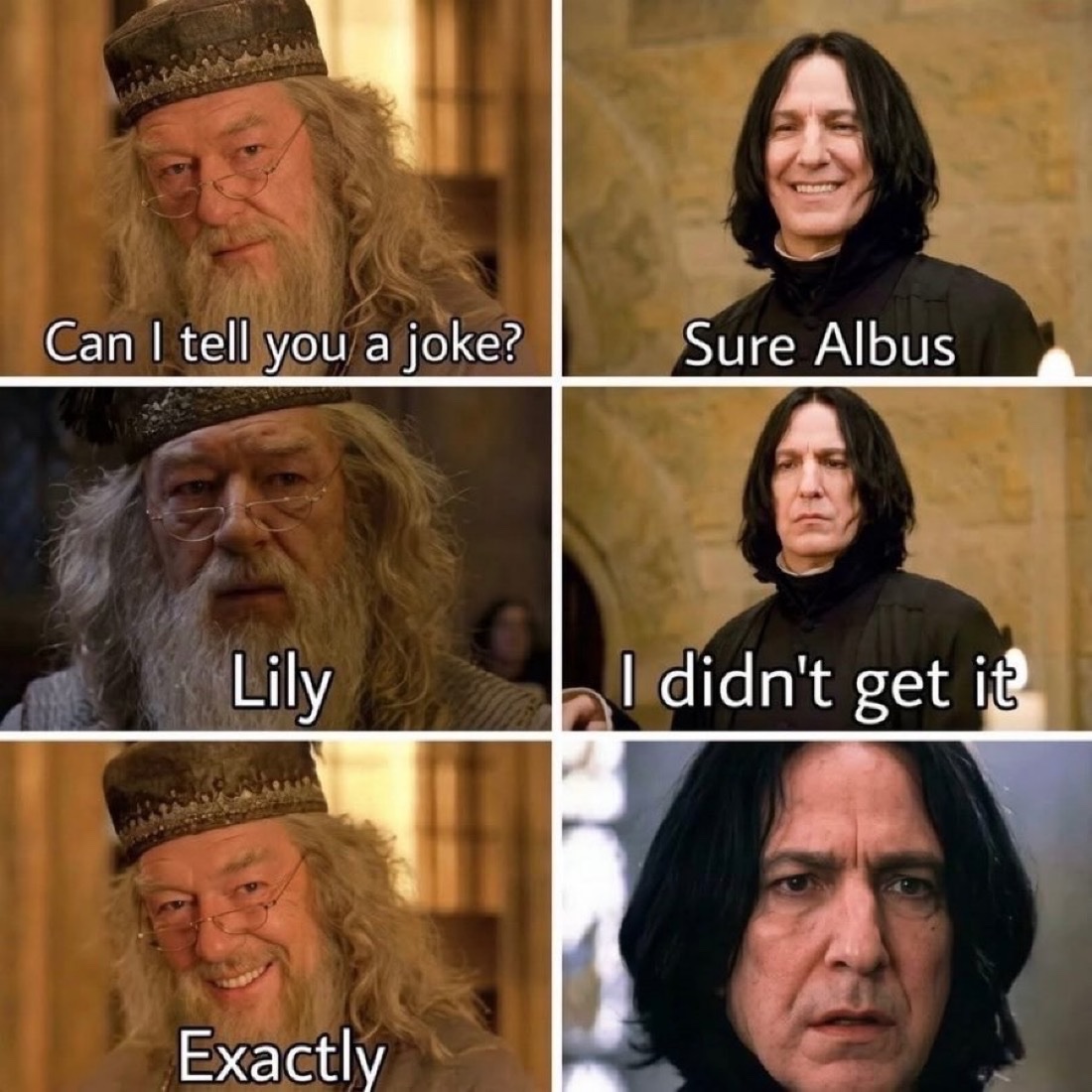 TheDailyHPotter's tweet photo. Dumbledore got no chill 😆 https://t.co/7p90hKhYWg