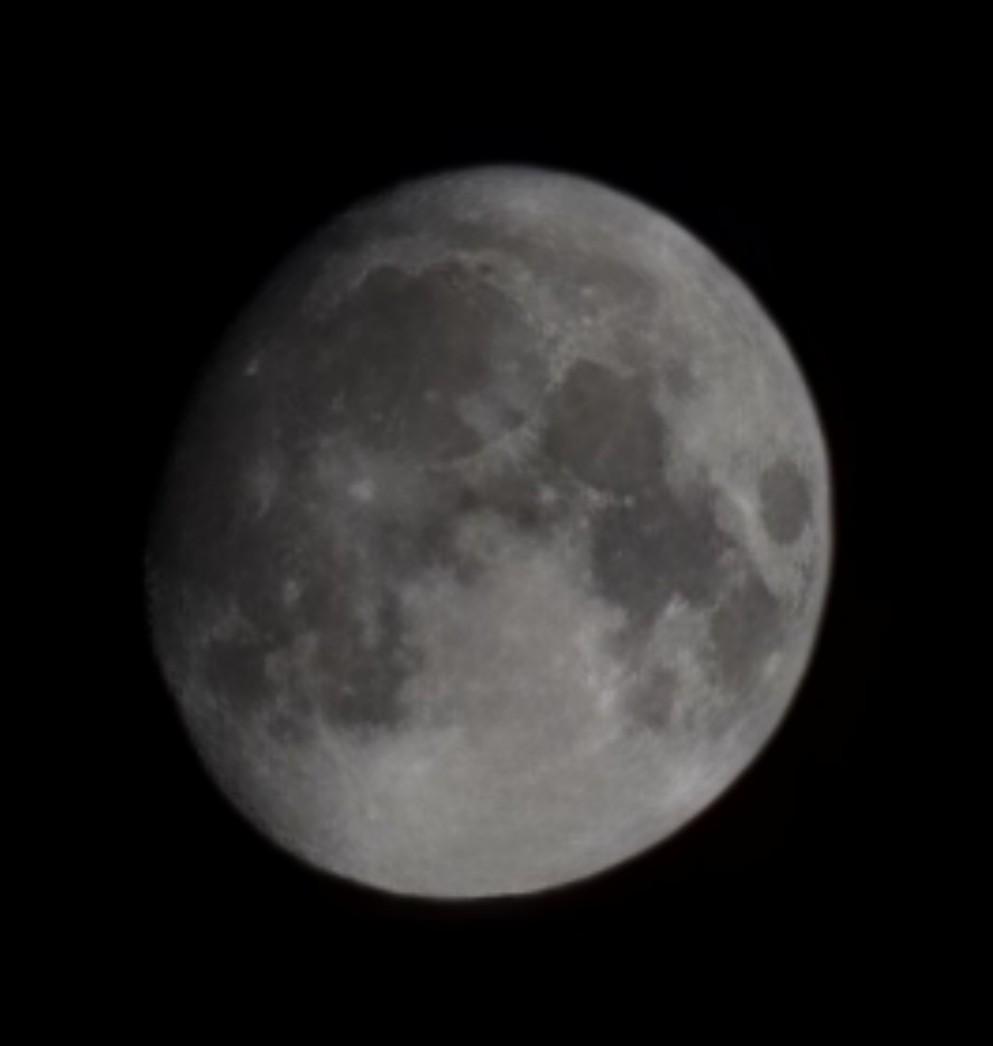 Debbie Shardonnay tweet media