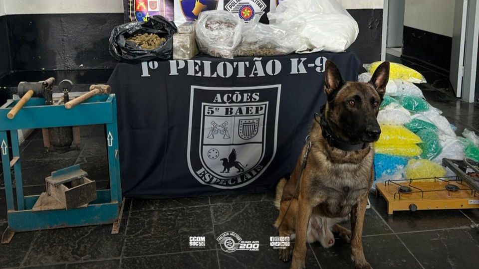 Polícia Militar do Estado de São Paulo tweet media