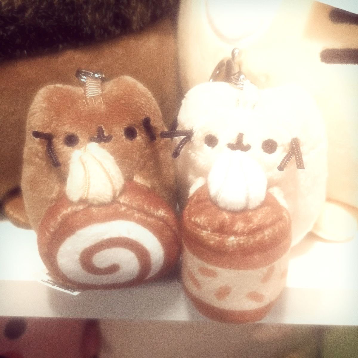 𝘥𝘰𝘭𝘭 ౨ৎ tweet media