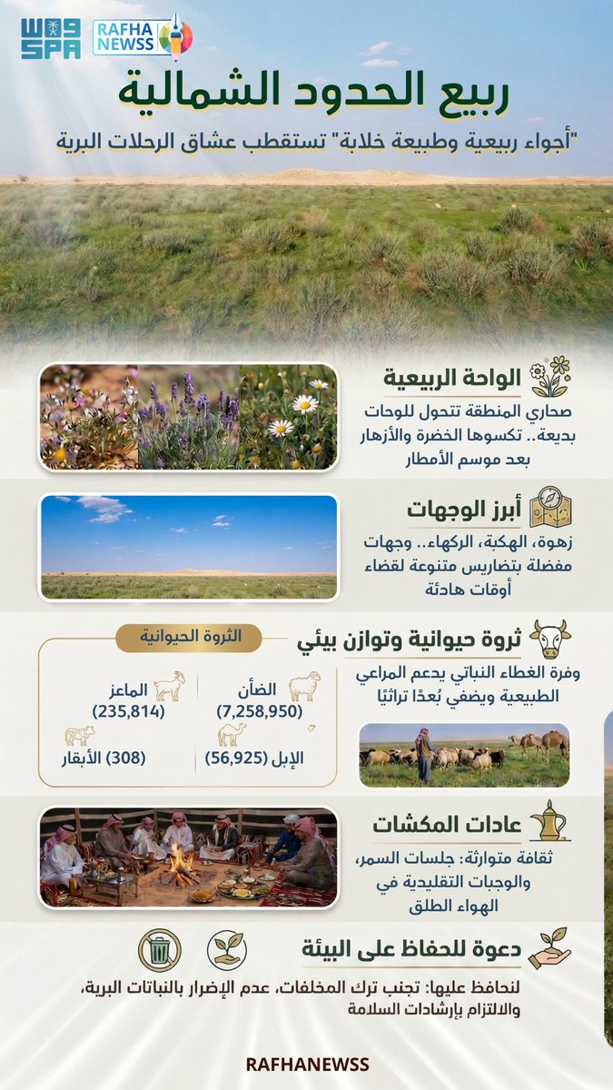 (AI) بيـبـلايـن tweet media