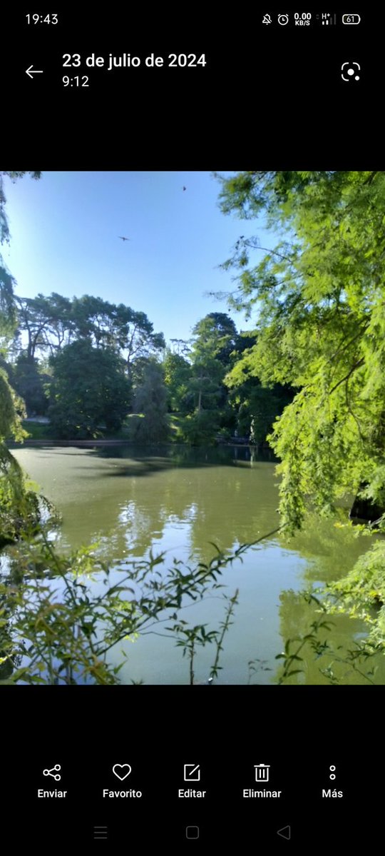 María del Carmen ® tweet media