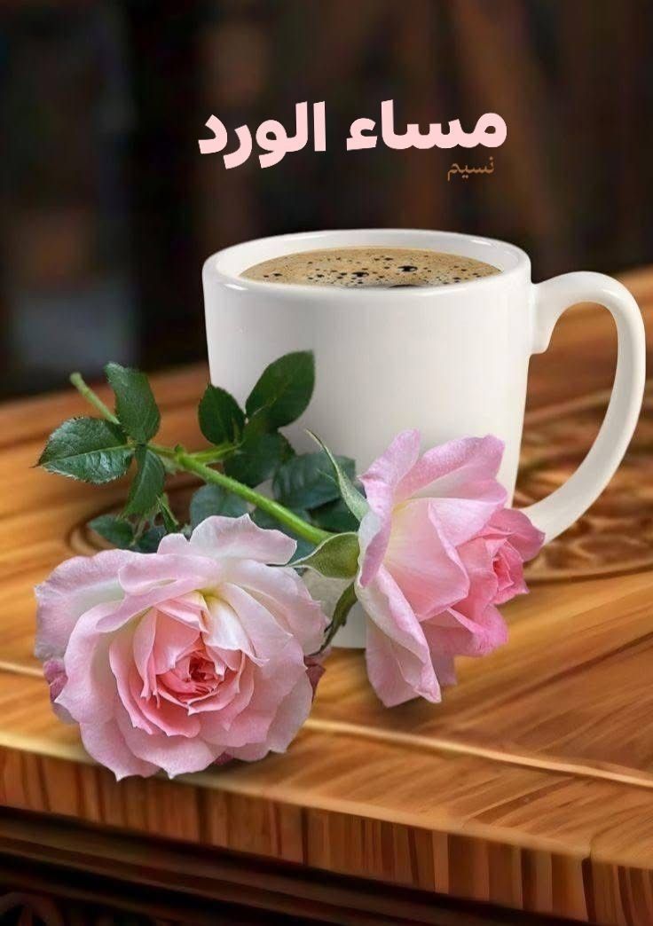 Dreamy Town tweet media