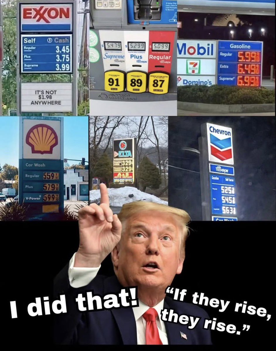 Alan Jacobson 🎉🍾🐈🏳️🌈🌹 tweet media