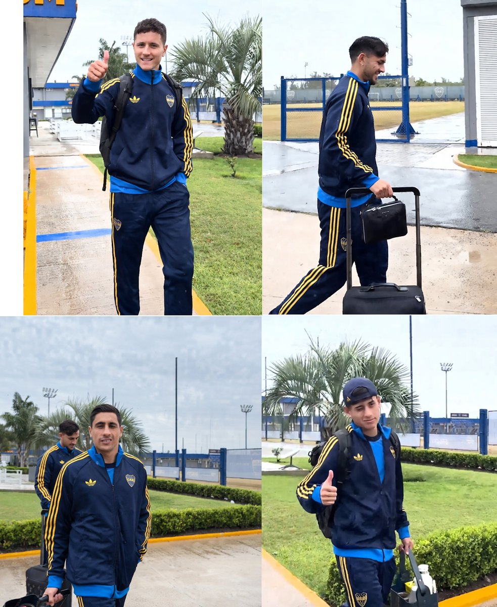 Nico Ambrogi tweet media