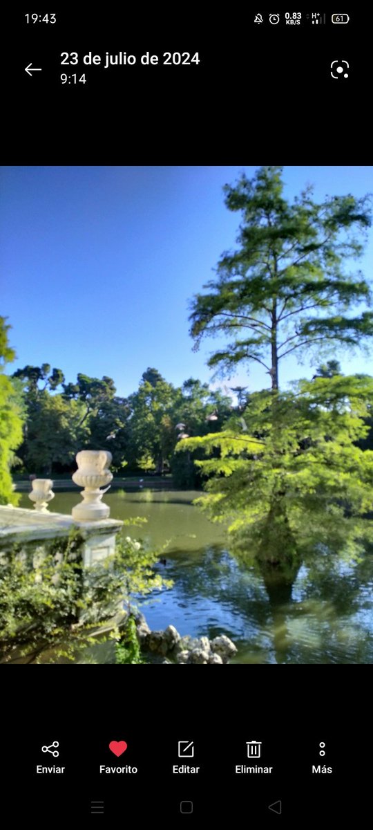 María del Carmen ® tweet media