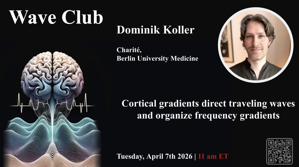 WaveClubSeminar's tweet photo. We can't wait to hear from Dr. Dominik Koller tomorrow in our monthly online seminar series on traveling waves. 
@SciKoller

Join us tomorrow, April 7th at 11a EST! https://t.co/5pxTvBMJLZ