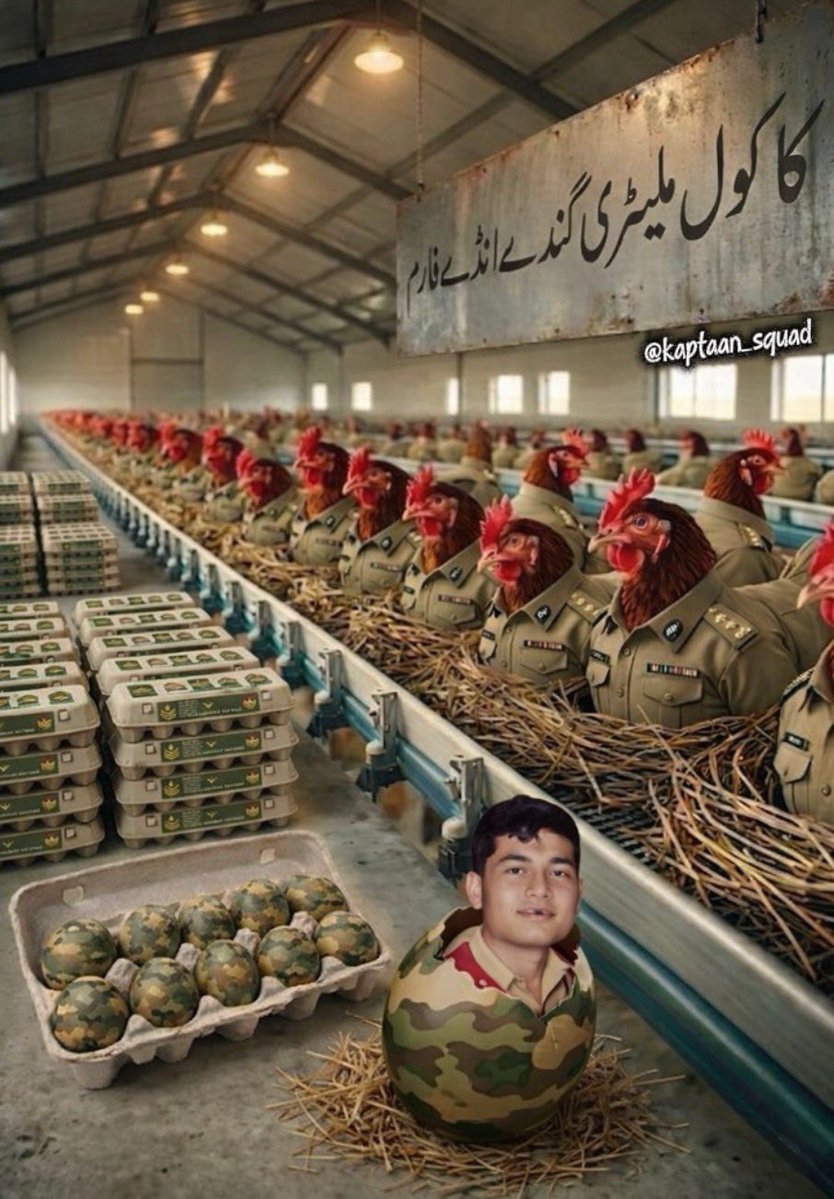 “ایک انڈہ وہ بھی گندا”  تو سب نے سنا ہوگا

مگر اس کاکولی فارم کا تو ہر انڈہ ہی گندا نکلتا ہے