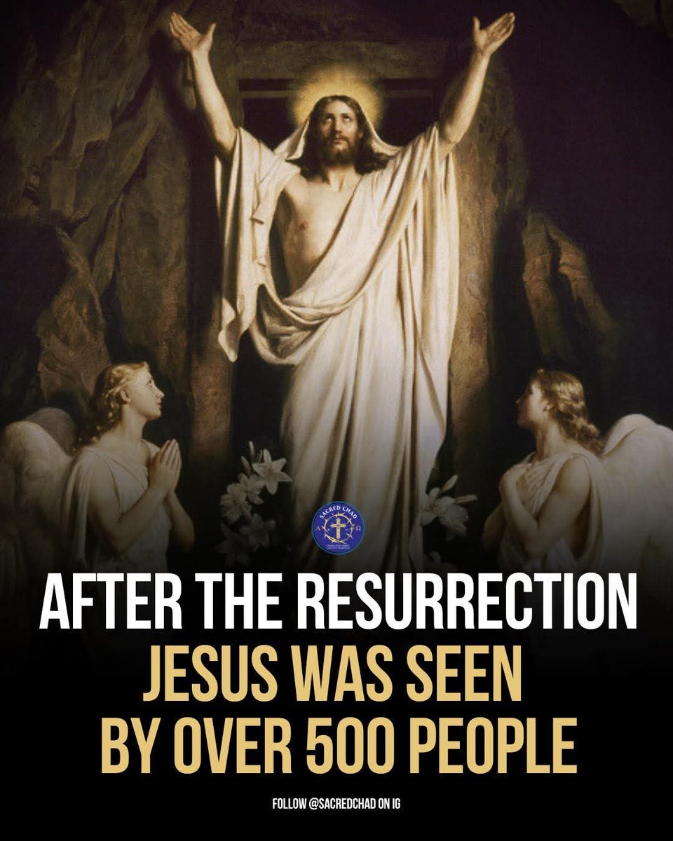 Trad West tweet media