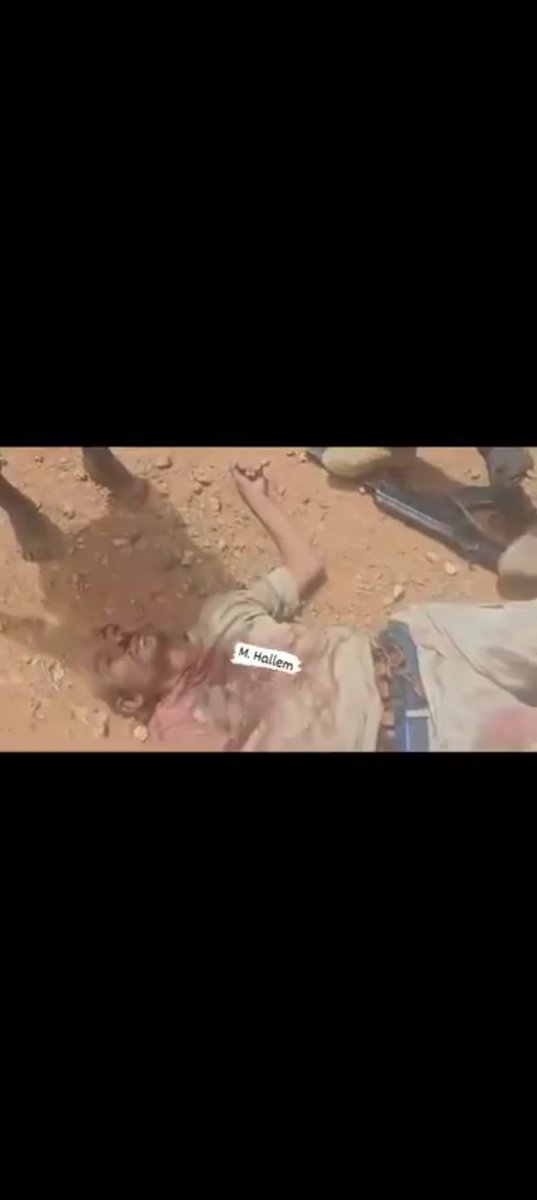 مرتزق يفنى مثل القط المدهوس على قارعة الطريق وحقيقةً القط اهم واشرف بكثير،لا بواكي له ولا رثاء،يفنى مقطع الاوصال بعد أن تاخذ منه الكلاب الجائعة نصيبها،يفنى وحيدا مطاردا بالذنوب والجرائم ودعوات المظلومين.
هنا جنوب كردفان محرقة ملاقيط افريقيا،إلى جهنم وبئس المصير.
#بل_بس